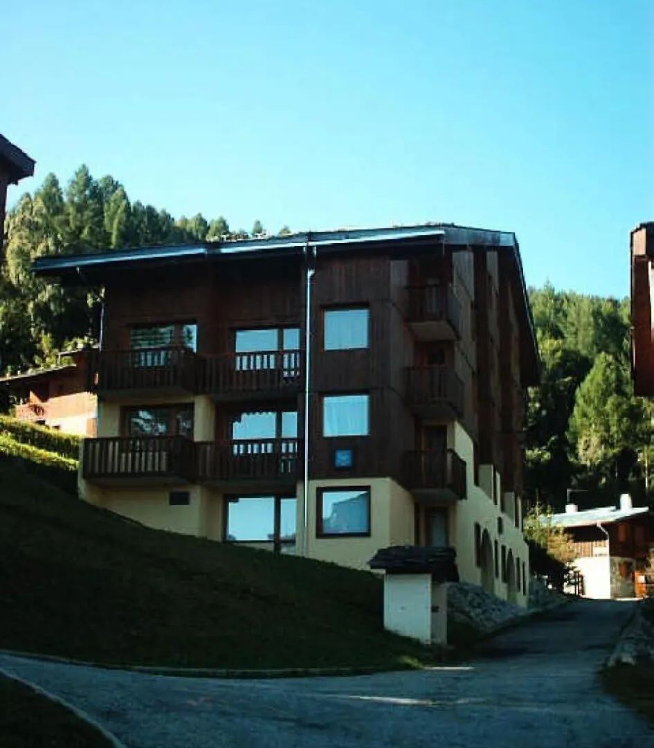 Residence Le De 1 - Deux Pieces A Proximite Des Pistes Mae-9541 La Plagne Apartment
